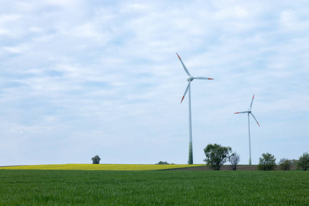 istock Two wind turbines in a field with growing cereals. Germany 1915077353