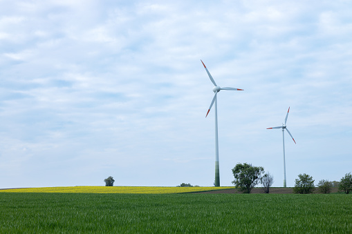 Two wind turbines in a field with growing cereals. Germany