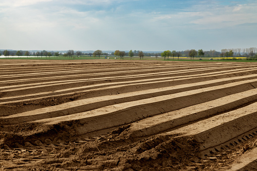 Freshly plowed spring field for planting vegetable seeds. The furrows extend diagonally into the distance.
