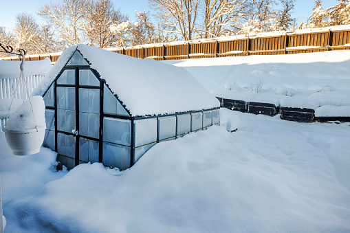 Beautiful winter view of greenhouse in garden covered with snow on frosty day. Sweden.