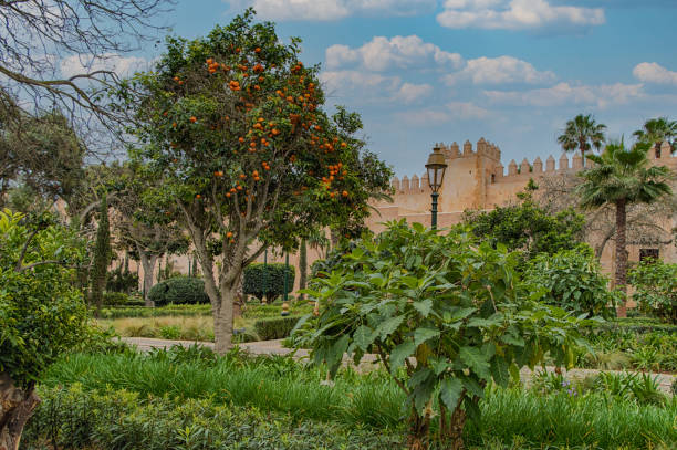 Andalusian gardens in Udayas kasbah. Kasbah of the Udayas is a small fortified complex and a symbol of the Almohad arquitecture, added to the UNESCO World Heritage. Rabat, Morocco. North Africa.