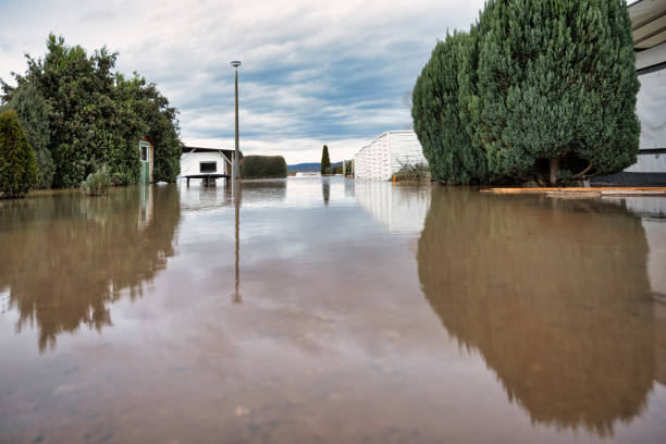 istock Flooding at the campsite in Kelbra 1915108489