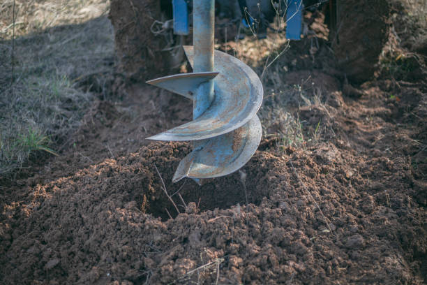 Planting vegetables at vegetable garden
