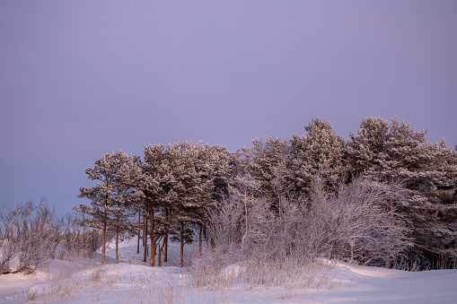 Winter Morning, Frost Covered Trees and Landscape Along River\n\n[url=http://istockphoto.com/litebox.php?liteboxID=269239][img]http://www.istockphoto.com/file_thumbview_approve.php?size=1&id=490984[/img][/url] [url=http://istockphoto.com/litebox.php?liteboxID=269239][img]http://www.istockphoto.com/file_thumbview_approve.php?size=1&id=484223[/img][/url] [url=http://istockphoto.com/litebox.php?liteboxID=269239][img]http://www.istockphoto.com/file_thumbview_approve.php?size=1&id=677040[/img][/url] [url=http://istockphoto.com/litebox.php?liteboxID=269239][img]http://www.istockphoto.com/file_thumbview_approve.php?size=1&id=446046[/img][/url]\n[url=http://istockphoto.com/litebox.php?liteboxID=269239][img]http://www.istockphoto.com/file_thumbview_approve.php?size=1&id=490975[/img][/url] [url=http://istockphoto.com/litebox.php?liteboxID=269239][img]http://www.istockphoto.com/file_thumbview_approve.php?size=1&id=472216[/img][/url] [url=http://istockphoto.com/litebox.php?liteboxID=269239][img]http://www.istockphoto.com/file_thumbview_approve.php?size=1&id=473138[/img][/url] [url=http://istockphoto.com/litebox.php?liteboxID=269239][img]http://www.istockphoto.com/file_thumbview_approve.php?size=1&id=677017[/img][/url]\n[url=http://istockphoto.com/litebox.php?liteboxID=269239][img]http://www.istockphoto.com/file_thumbview_approve.php?size=1&id=477092[/img][/url] [url=http://istockphoto.com/litebox.php?liteboxID=269239][img]http://www.istockphoto.com/file_thumbview_approve.php?size=1&id=446013[/img][/url] [url=http://istockphoto.com/litebox.php?liteboxID=269239][img]http://www.istockphoto.com/file_thumbview_approve.php?size=1&id=677052[/img][/url] [url=http://istockphoto.com/litebox.php?liteboxID=269239][img]http://www.istockphoto.com/file_thumbview_approve.php?size=1&id=841782[/img][/url]\n\nPlease visit my [url=http://istockphoto.com/litebox.php?liteboxID=269239]--WINTER--[/url] lightbox for many more shots like the above to choose from.