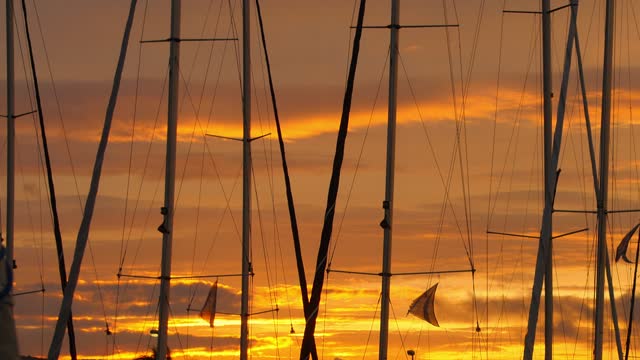 Many yacht masts on pier on background of sunset.