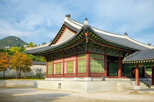 Aerial View of Busan Tower in Yongdusan Park, Busan, south Korea, Asia.