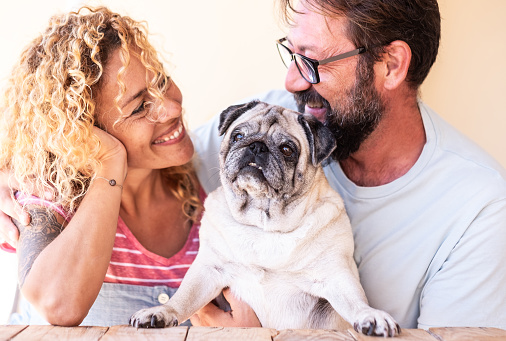 Beautiful middle aged couple man and woman in love share tender moment with their clear pug dog. Forever friends. United and happy family.