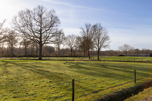 Agricultural area on the Appel estate near Voorthuizen in Gelderland.