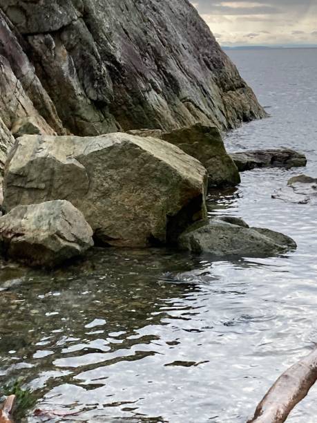 istock Rocky shoreline with driftwood 1915240842