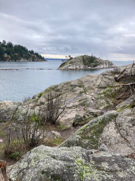 istock Rocky shoreline with driftwood 1915241354