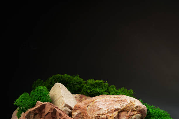 istock Stones decorated with green moss against black background 1915342005
