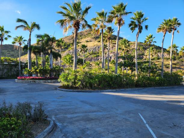 Caribbean Winter in St. Kitts