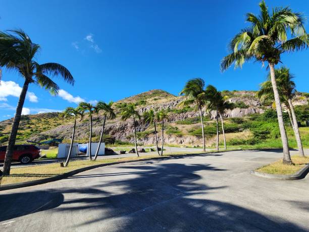 istock Caribbean Winter in St. Kitts 1915344606