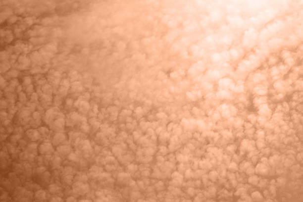 tender fluffy soft clouds the color of peach fluff.