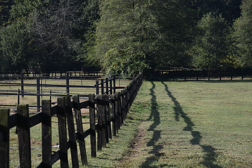 ranch with horses