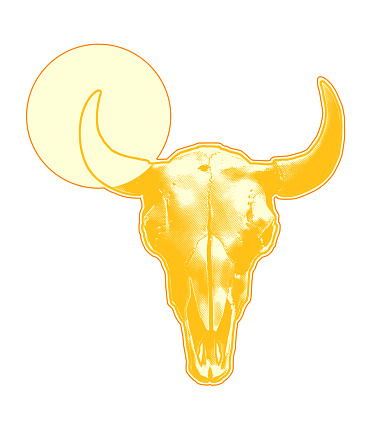 Steer Skull with horns and hot sun and sunbeams