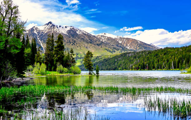 istock Grand Teton National Park 1915450586