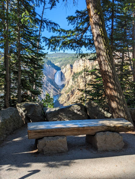 istock Empty park bench with Lower Yellowstone Falls in the distance 1915471543