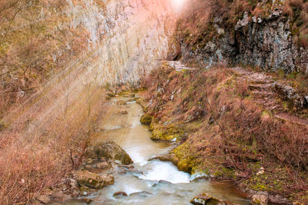 river flowing into a limestone creek (Cheile Turzii, Transylvania)