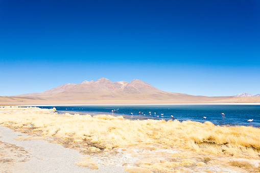 Laguna Canapa landscape,Bolivia. Beautiful bolivian panorama. Blue water lagoon
