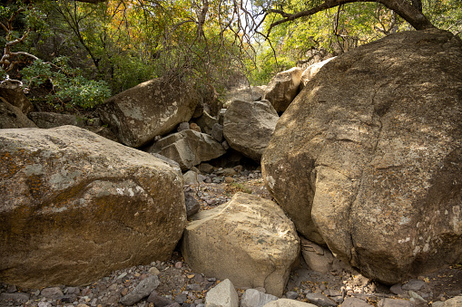 Boulders Gather In A Wash Along Juniper Canyon Trail In Big Bend National Park
