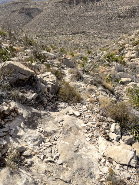 istock Faint Trail Heads Downhill Along Telephone Canyon 1915530945