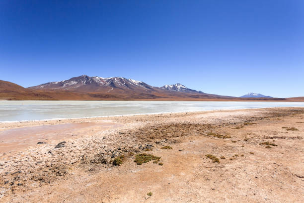 istock Laguna Hedionda view, Bolivia 1915531574