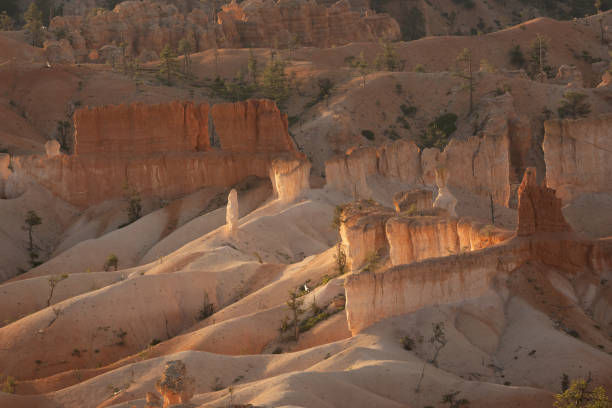 istock Hoodoos Glow With Late Day Sun Light 1915535138