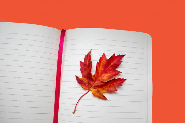 istock Creative high angle photo of a colorful notepad and with an orange maple leaf.With space for copy text or advertising 1915539303