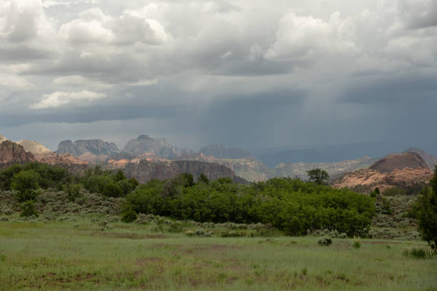 Rain Storm Passes Over Zion Canyon In The Distance in Summer