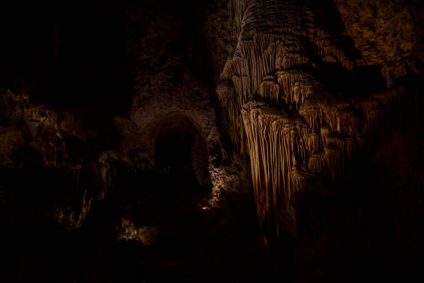 istock Rippling Formations Grow on The Wall in Carlsbad Caverns 1915546587