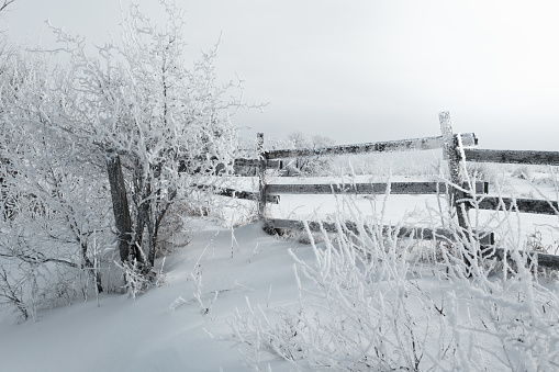 Wooden farm fence coated in winter frost on a prairie winter day