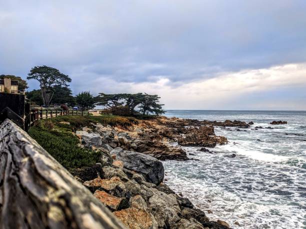 istock Monterey Bay Area ocean landscape 1915559056