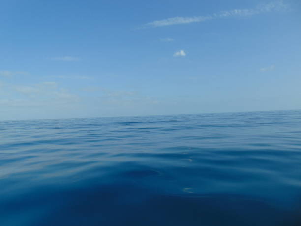 istock Landscape at sea 1915589508