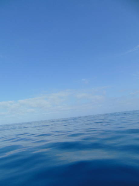 istock Landscape at sea 1915590561