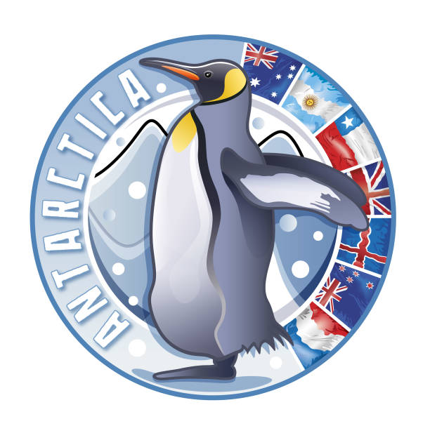 ilustrações de stock, clip art, desenhos animados e ícones de badge logo with antarctica king penguin on iceberg and national flags illustration - penguin animal white background king penguin