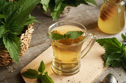 A cup of herbal tea with fresh stinging nettle leaves on a table