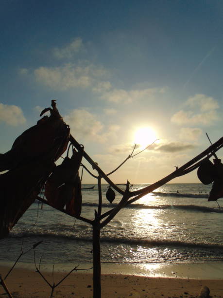 istock Photo on the beach 1915608817
