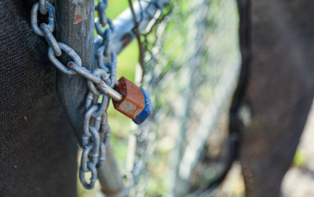 istock shiny padlock with keys, symbolizing security and protection 1915625926