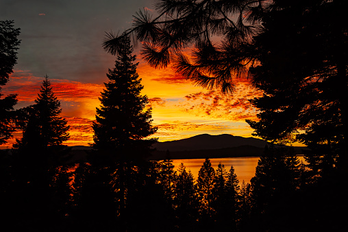 Sunset over Lake Almanor. Lake Almanor is a large reservoir in northwestern Plumas County, northeastern California, United States. Silhouette of trees and mountains with lake colored by sunset.