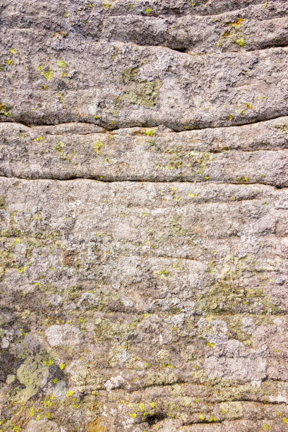 istock rough natural texture of a grey limestone with cracks and moss 1915636758