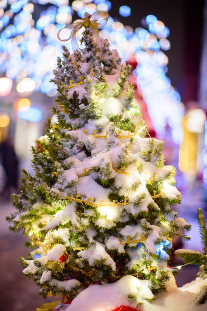 istock Christmas tree and Christmas decorations. 1915652910