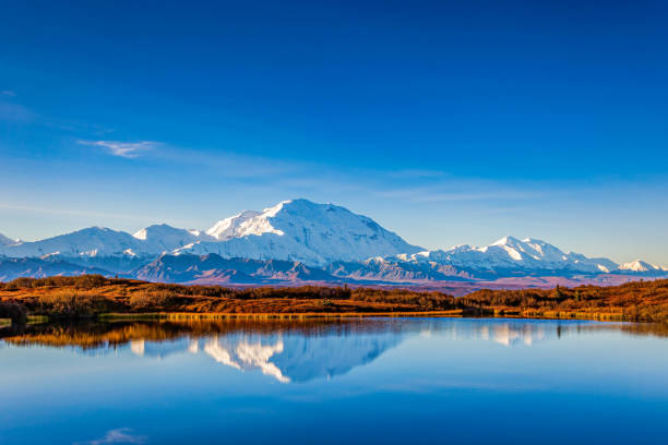 Denali Reflection Mt. Denali reflecting in Reflection Pond / Denali National Park denali mountain stock pictures, royalty-free photos & images