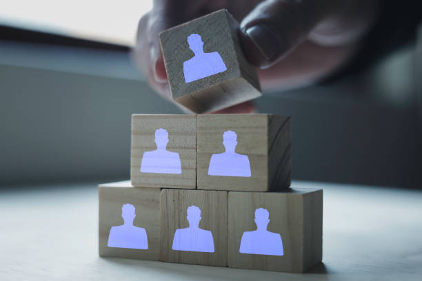 istock Human resources and management concept. check resume, Screening employee information, job applicants, staff icons for human development recruitment leadership and customer target group 1915711442