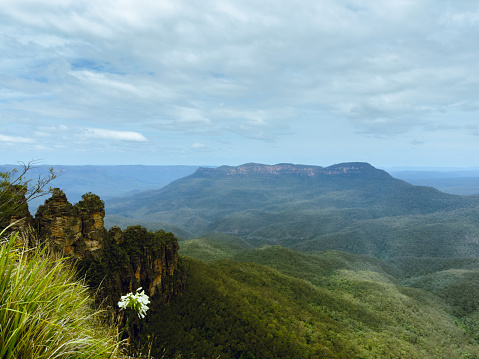 The serene Blue Mountains and Majestic Waterfalls. Nature's Symphony. NSW. Australia. Wentworth Falls. Minnehaha falls. Three sisters.