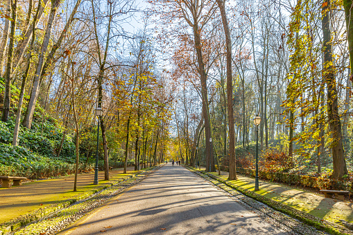 Granada, Spain. January 10th, 2023. A street through the park uphill towards Alhambra.