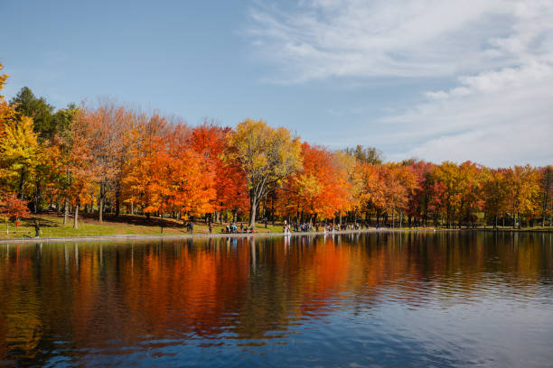 istock Colorful trees in Monte Royal Park 1915770978