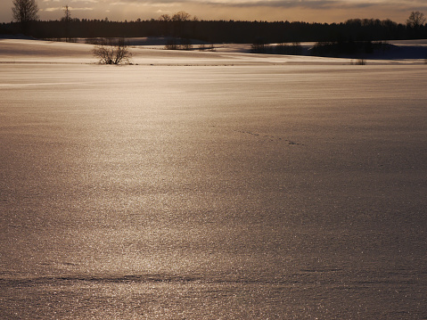 Full frame shot of snow covered field