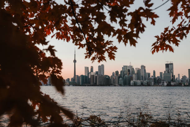 istock Toronto city skyline at sunset from Toronto Island 1915795432