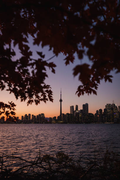 istock Toronto city skyline at sunset from Toronto Island 1915795964